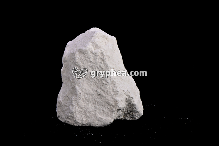 Craie - échantillon - gryphea.org